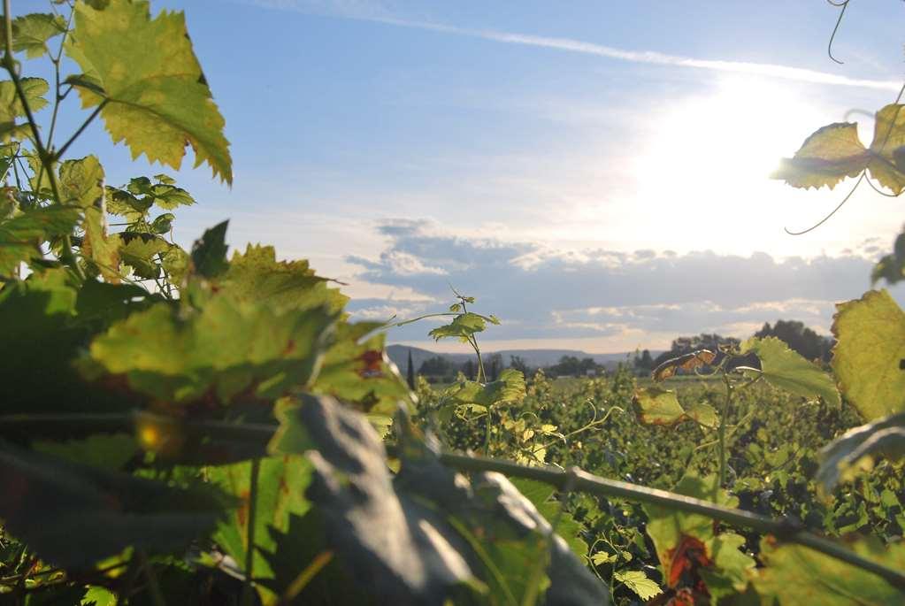 Hotel The Originals Romans-Sur-Isere Le Clos Des Tanneurs ภายนอก รูปภาพ